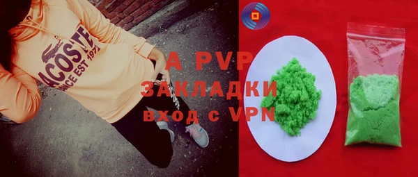 гашик Богданович