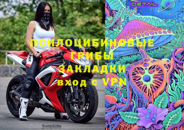 ПСИЛОЦИБИНОВЫЕ ГРИБЫ Богородицк