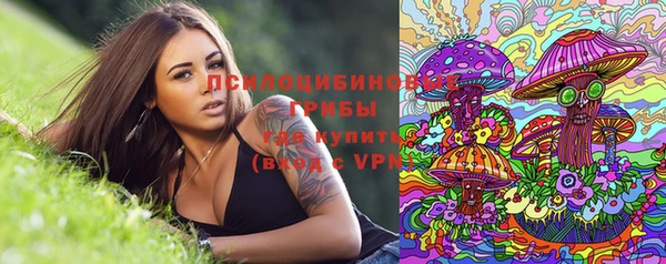 гашик Богданович