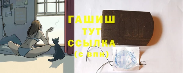 дмт Богородск