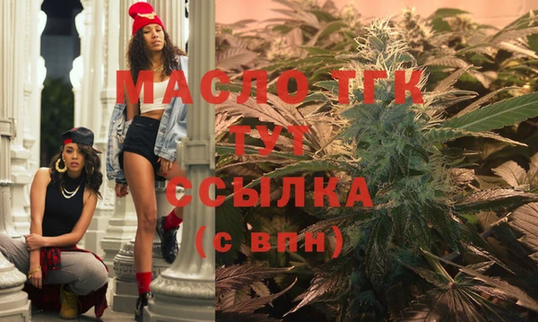 гашик Богданович