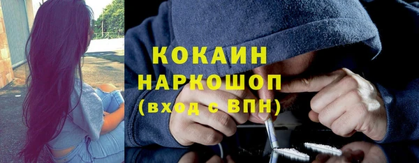 дмт Богородск