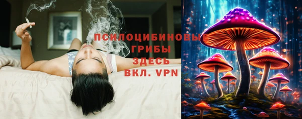гашик Богданович
