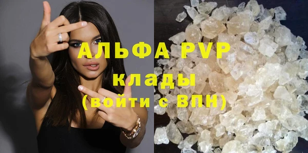 гашик Богданович