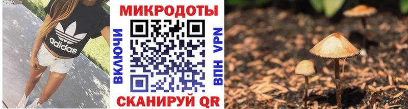 mega ONION  наркотики  Оха  Галлюциногенные грибы прущие грибы 